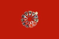 合肥市肥东县回收红酒